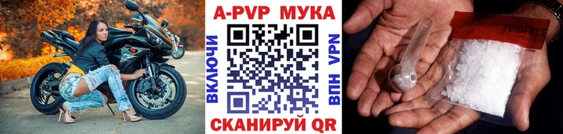 купить наркотики цена  Петровск-Забайкальский  Alfa_PVP VHQ 