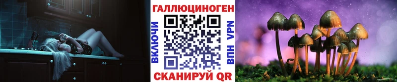 Псилоцибиновые грибы Magic Shrooms  как найти закладки  Петровск-Забайкальский 